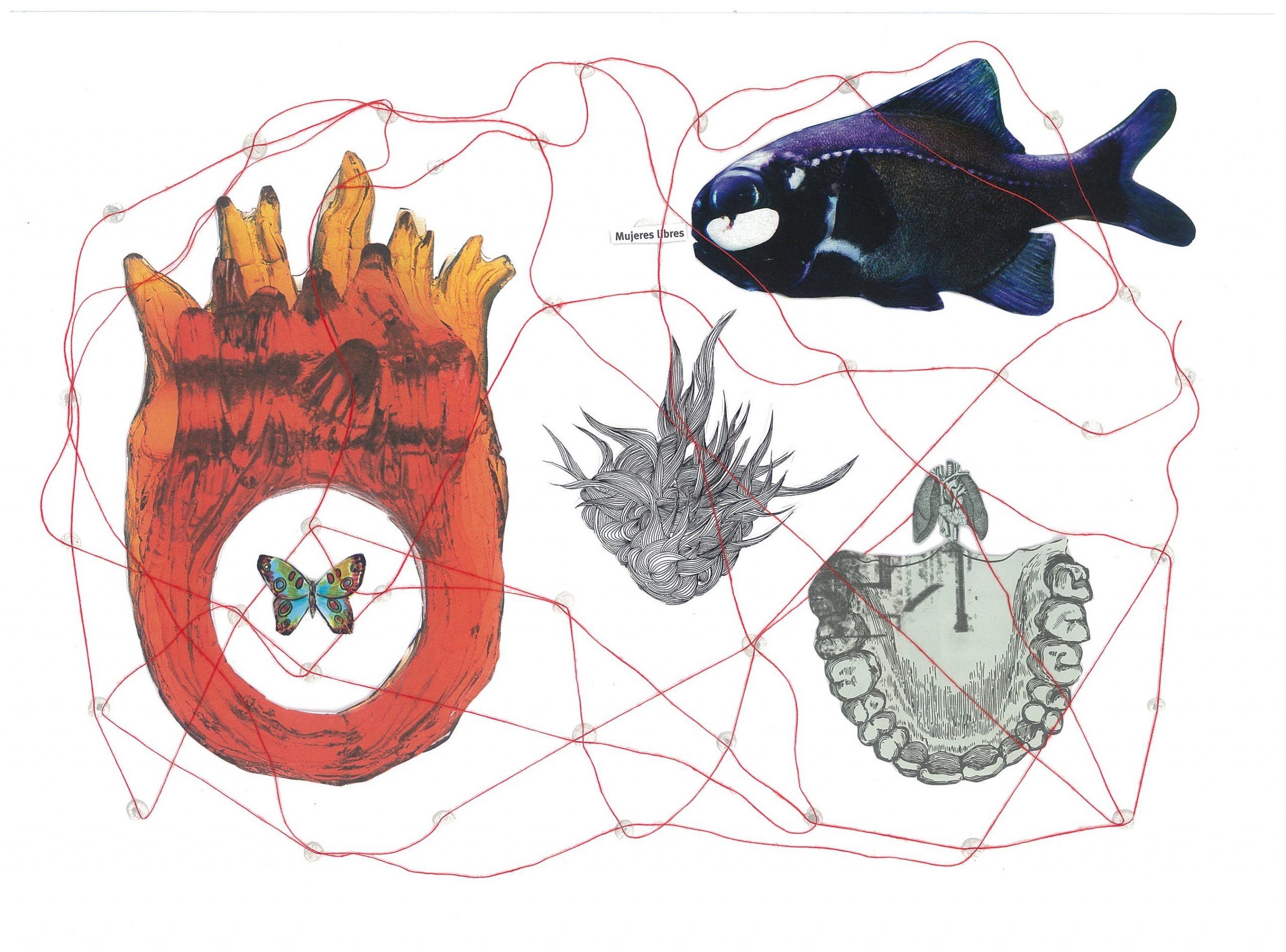 COMUNIDADES UTÓPICAS