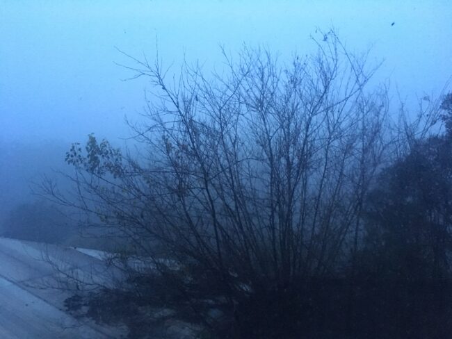 SOLEDAD-Y-ESTIGMA-1
